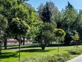 В Брестском облисполкоме назвали города, где есть проблемы с озеленением