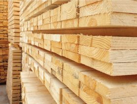 Продавать древесину на экспорт в Беларуси будут по-новому