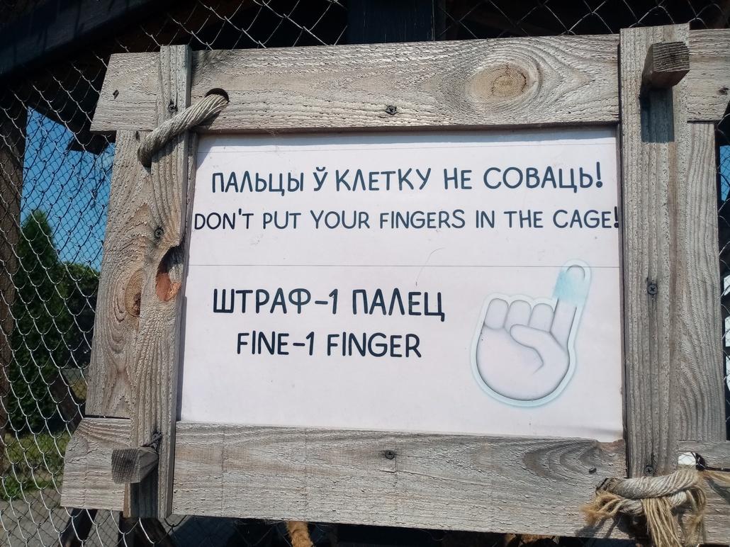 Отдых сказочный, но не бюджетный: как мы проводили время в парке животных «Диприз»