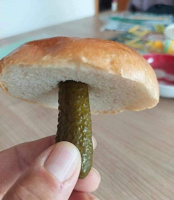 гриб