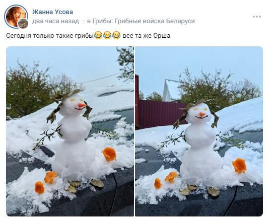 грибы