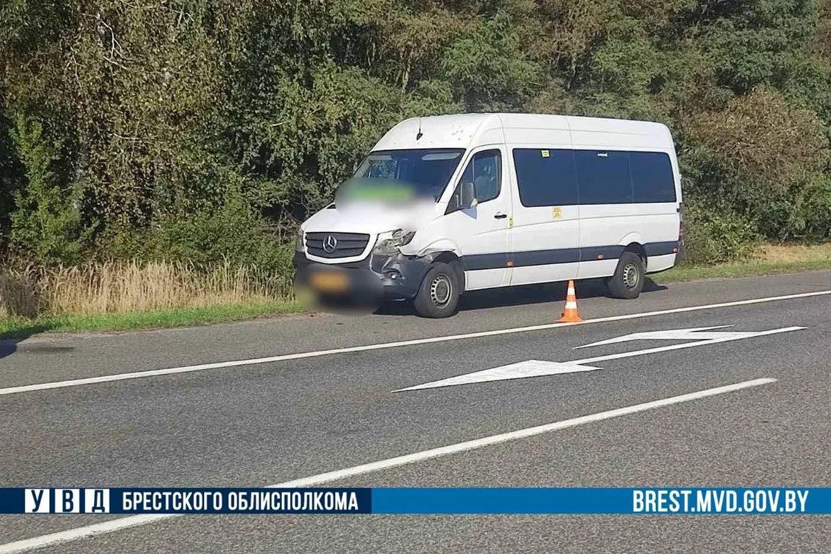 Маршрутка сбила оленя на трассе М1 недалеко от Бреста