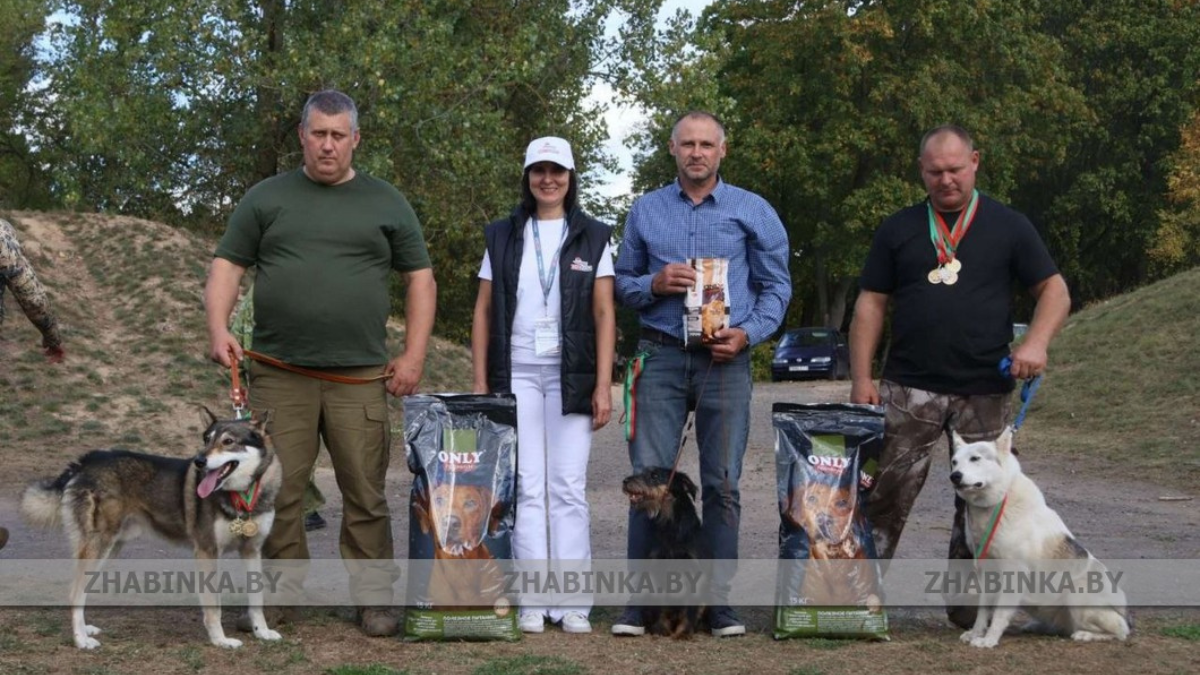 Ганцевичская лайка Талаш стала чемпионом Брестчины