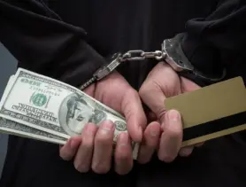 В Минской области раскрыли группу мошенников