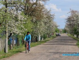 Готовьте легкую одежду! В Беларусь идет настоящая майская погода